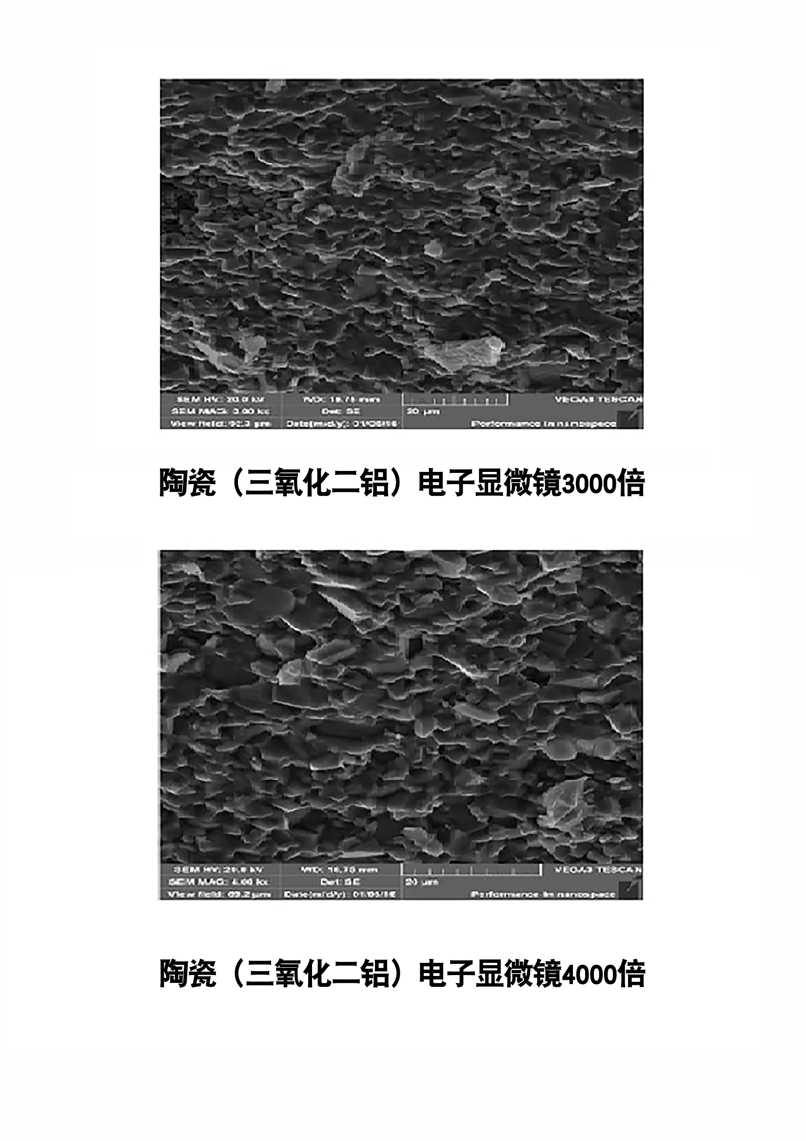 陶瓷（三氧化二铝）电子显微镜